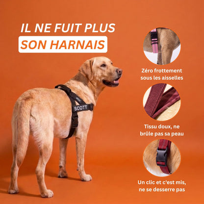 Harnais Anti-Traction | Mizu