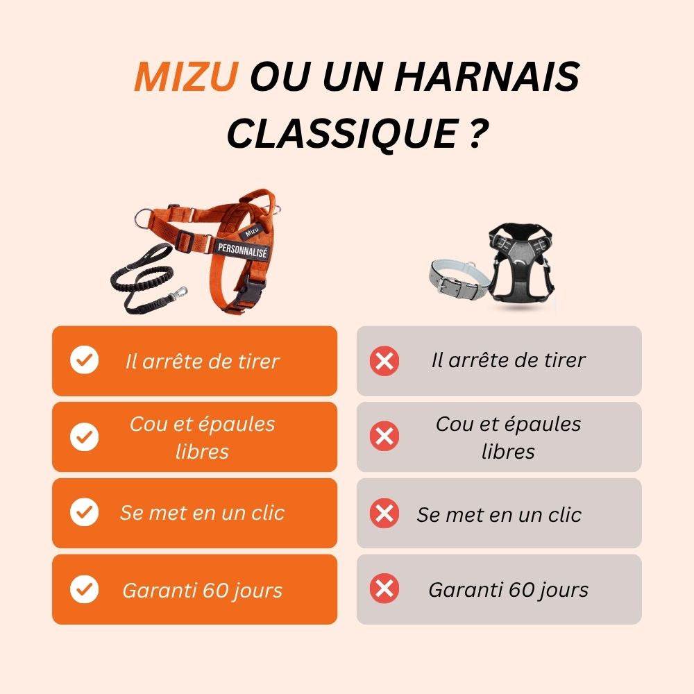 Harnais Anti-Traction | Mizu
