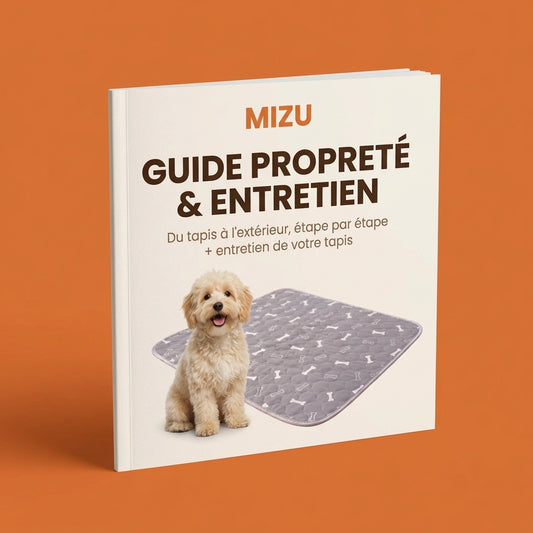 Guide Propreté et Maintien
