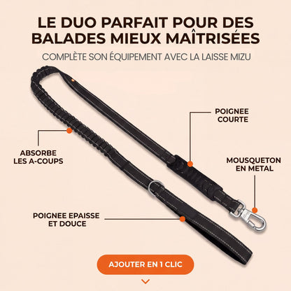 Laisse Signature Amortissante - 1.5m